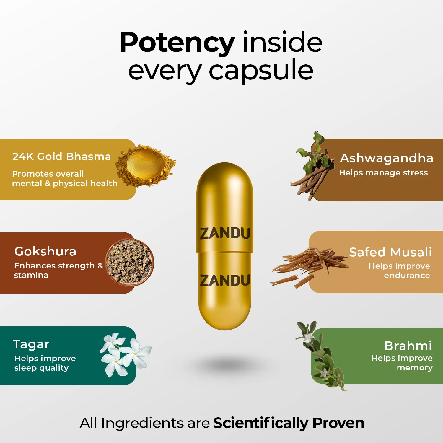 Muscle Recovery & Better Sleep - Ashwagandha Gold Plus - Image 4