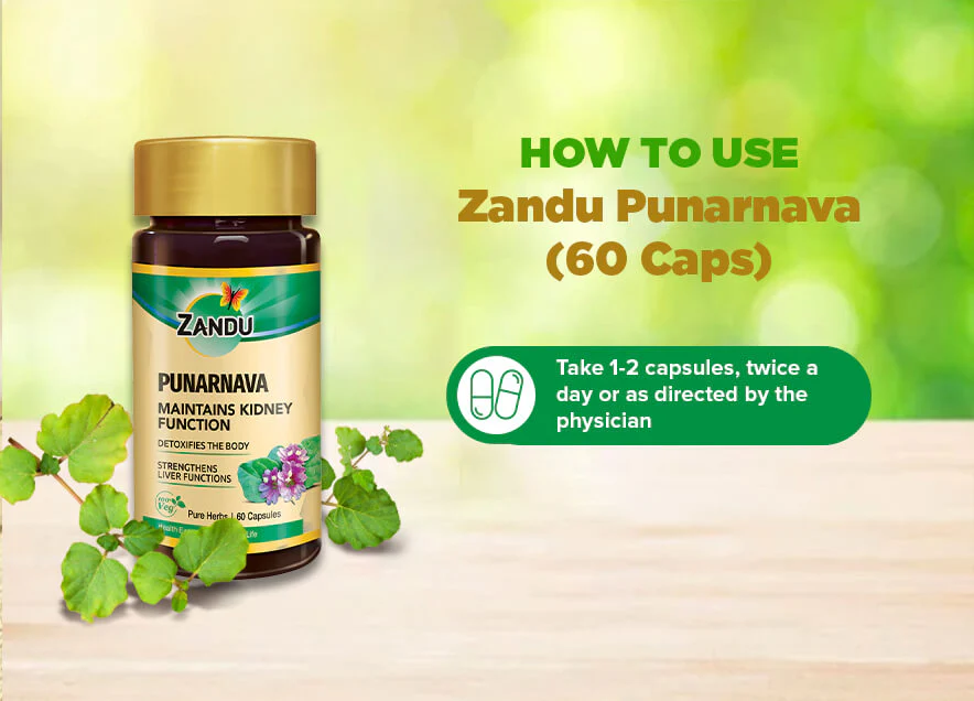 Kidney Detox Support (Pure Punarnava) - Image 3