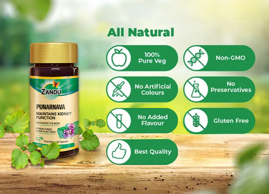 Kidney Detox Support (Pure Punarnava) - Image 4