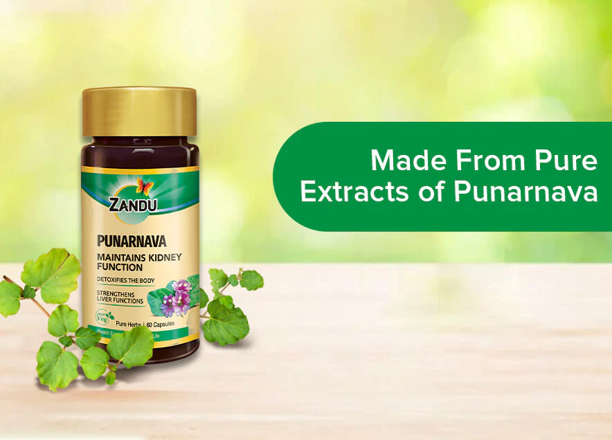 Kidney Detox Support (Pure Punarnava) - Image 5