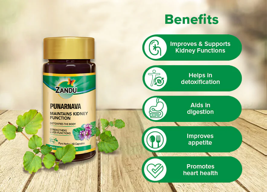 Kidney Detox Support (Pure Punarnava) - Image 6