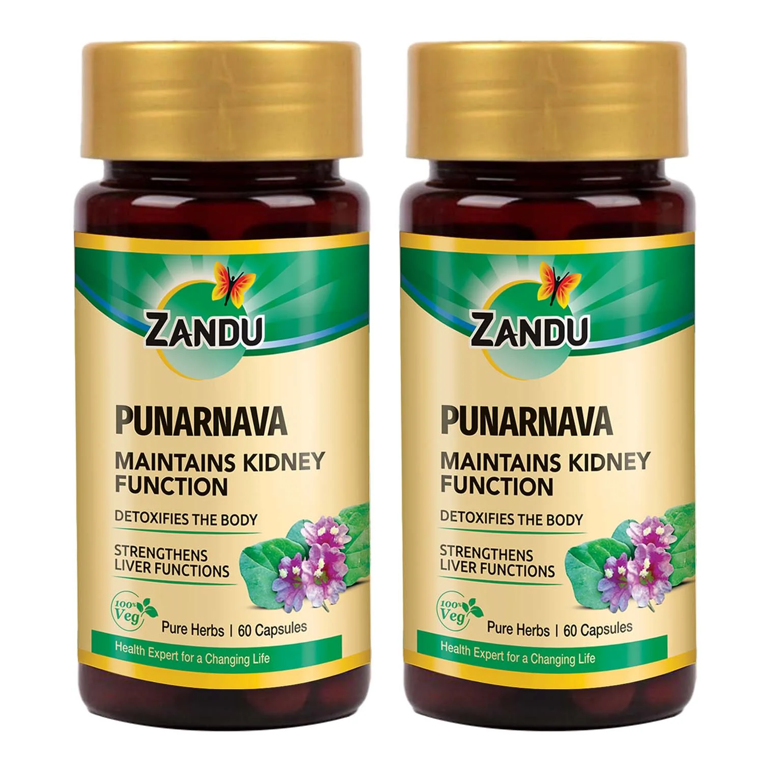 Kidney Detox Support (Pure Punarnava) - Image 7