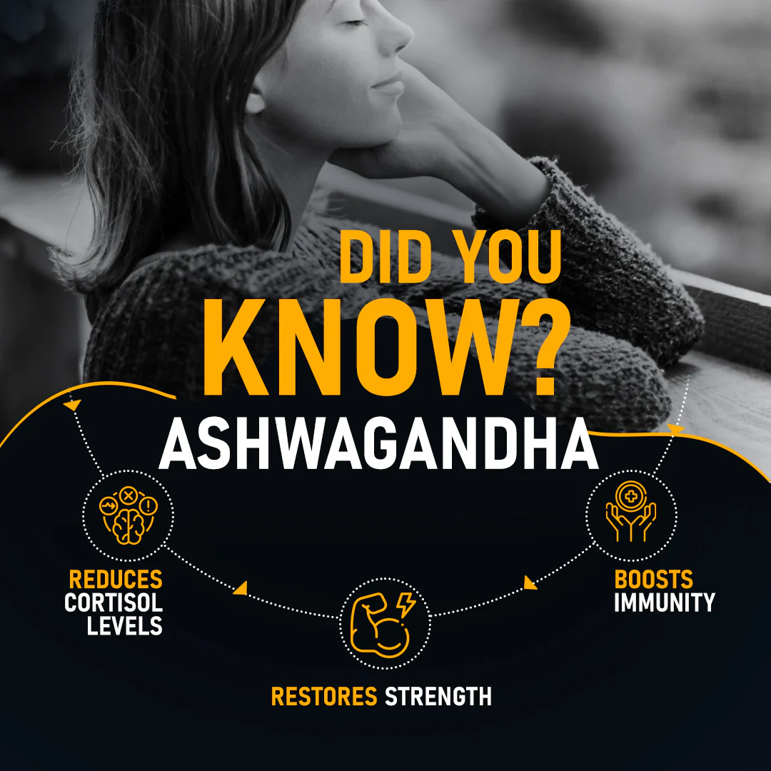 Daily Calm - Reduce Stress with Pure Ashwagandha Root Extract - Image 3