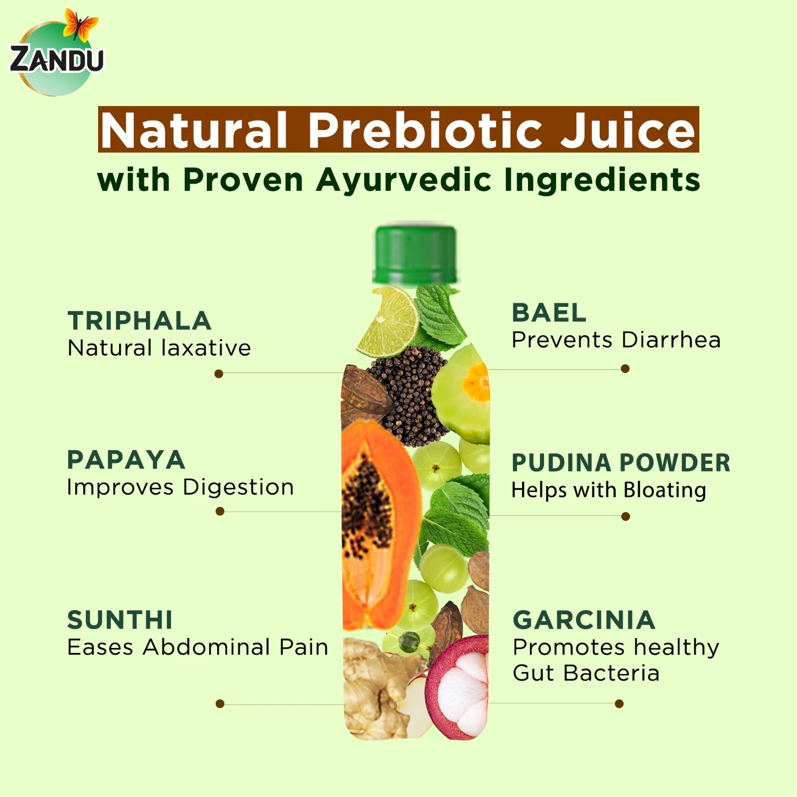 Reduce Post-meal Heaviness & Improve Digestion - Image 4