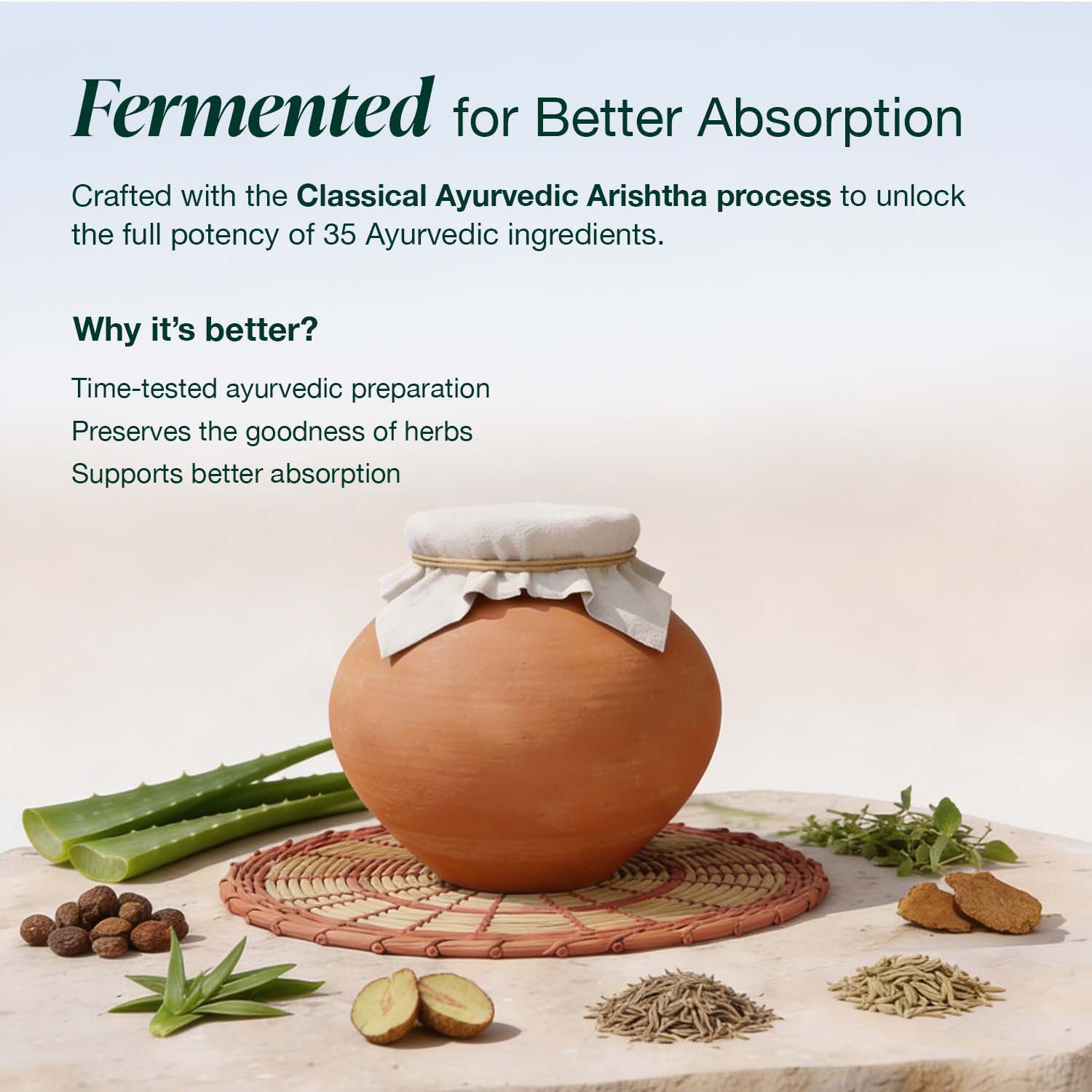 Gut Cleanse & Detox Shots - Pre & Postbiotics - Image 7